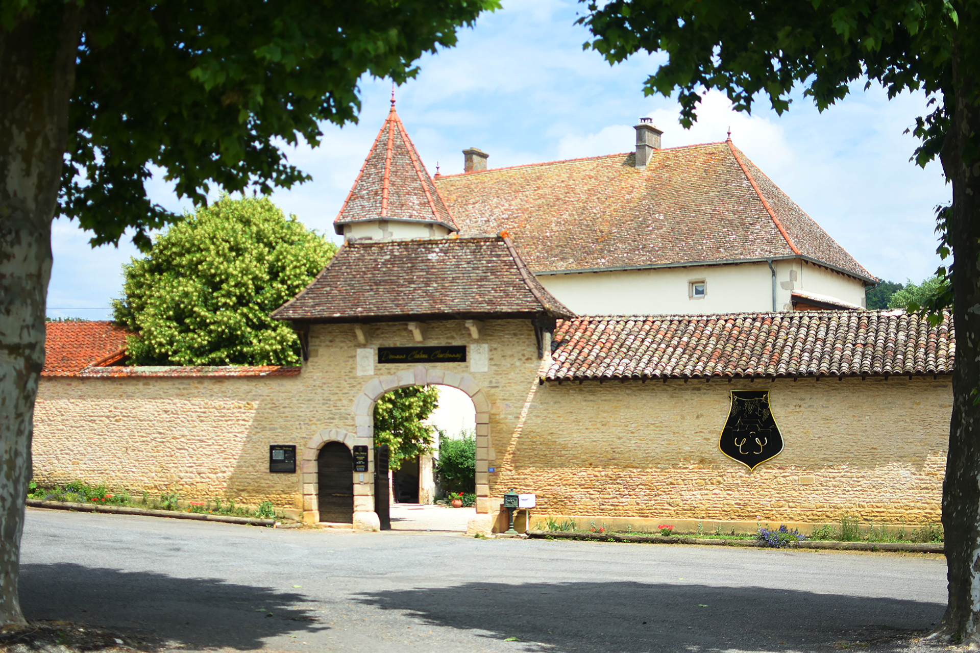 Le Château - Culture de la vigne 71700 Chardonnay
